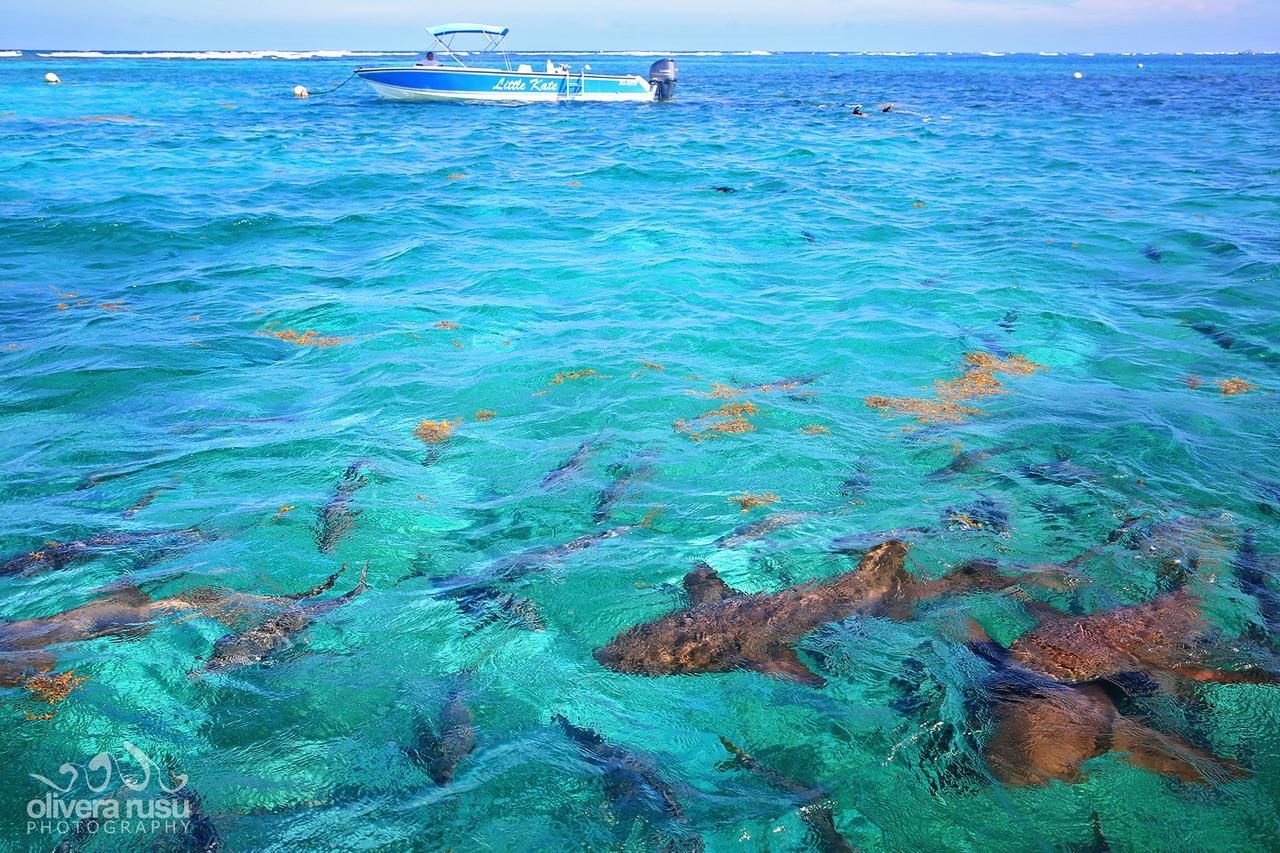 Cayo Espanto San Pedro  Eksteriør bilde