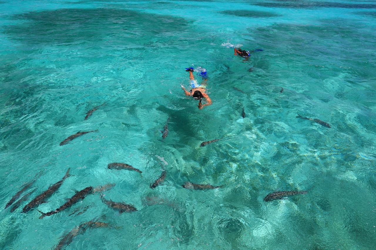 Cayo Espanto San Pedro  Eksteriør bilde